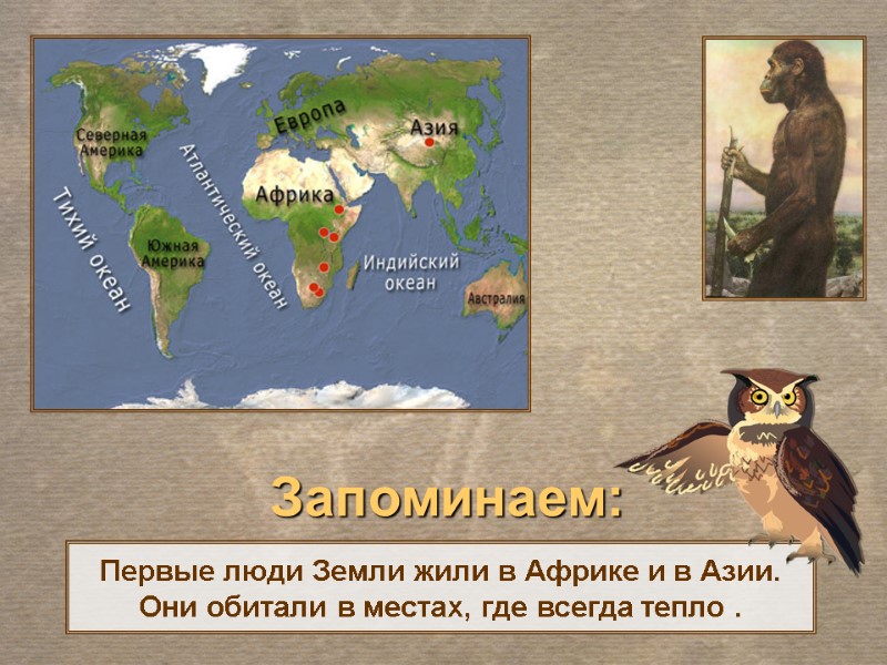 Первые люди Земли жили в Африке и в Азии.  Они обитали в местах,